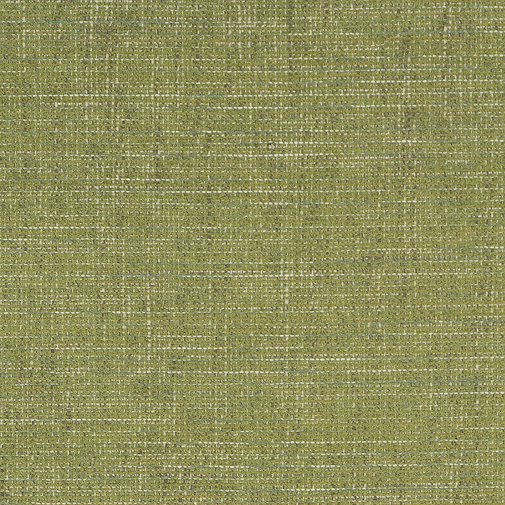 D1739 Grass by Charlotte Fabric Crypton III 100% Woven Polyester Asia Exceeds 100,000 Wyzenbeek Rubs (Heavy Duty) </p><p>Repeat: 54 Inches - Fabric Carolina -