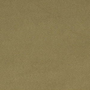 D1760 Sage by Charlotte Fabric