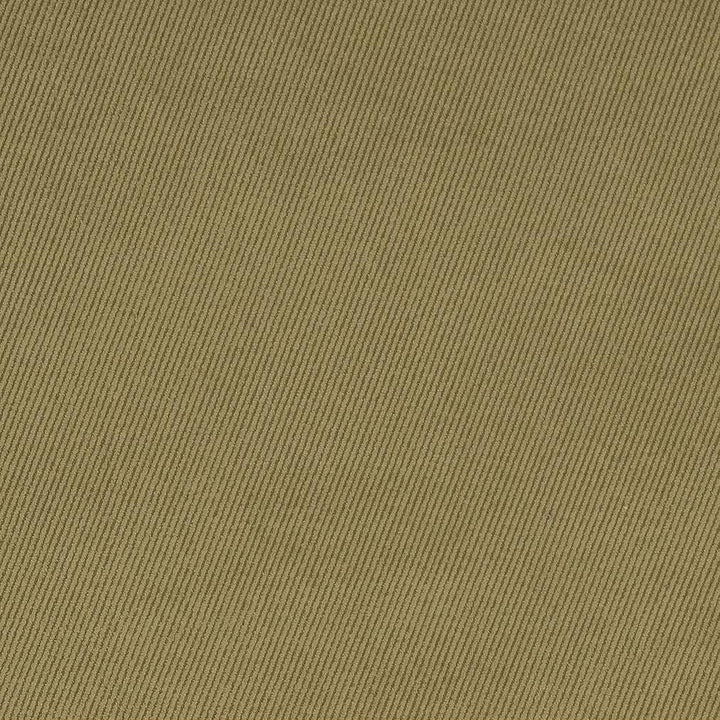 D1760 Sage by Charlotte Fabric Classic Velvet 100% Woven Polyester Asia Exceeds 200,000 Wyzenbeek Rubs (Heavy Duty) No Repeat 54 Inches - Fabric Carolina -