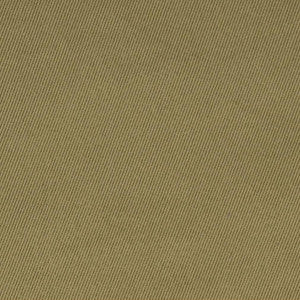 D1760 Sage by Charlotte Fabric