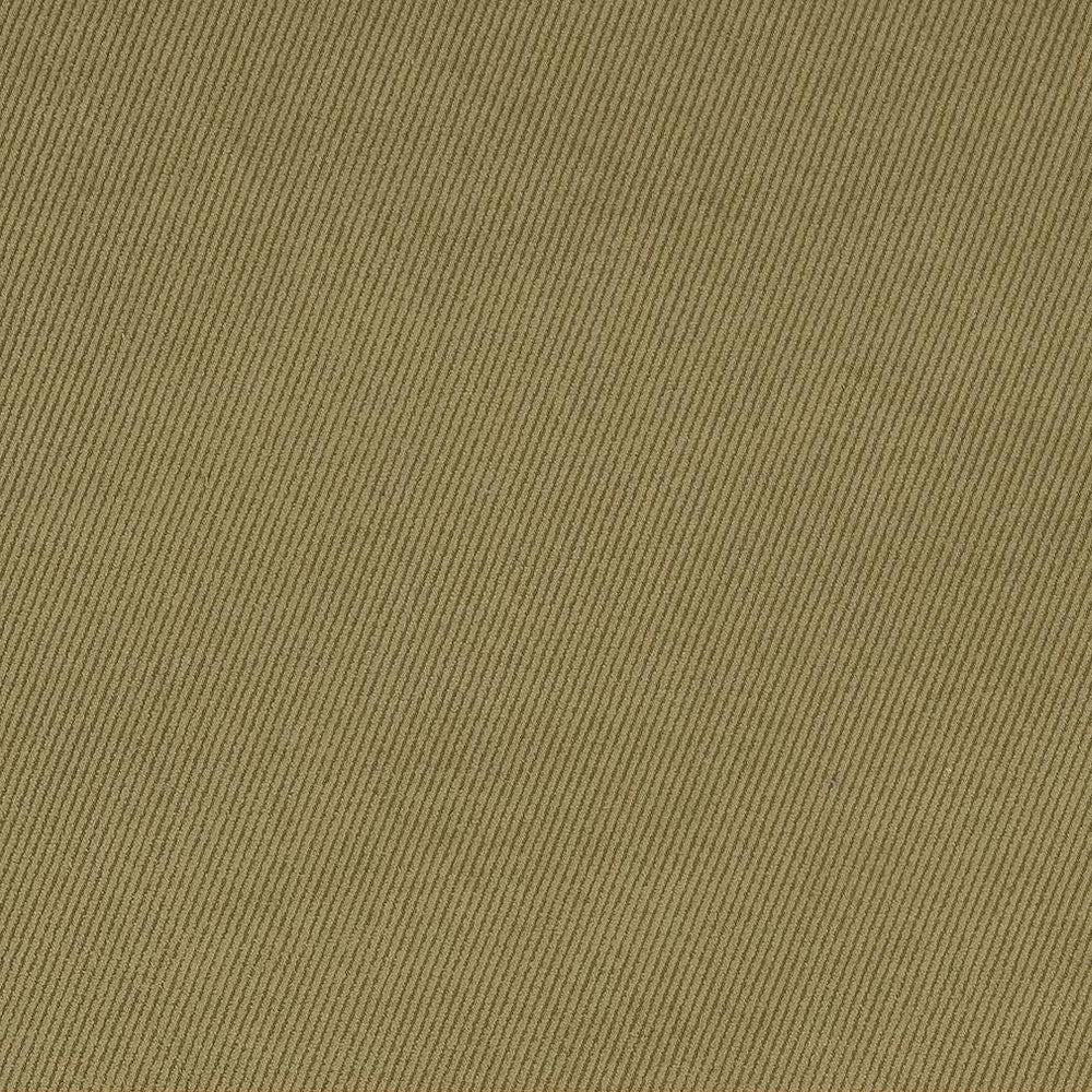 D1760 Sage by Charlotte Fabric Classic Velvet 100% Woven Polyester Asia Exceeds 200,000 Wyzenbeek Rubs (Heavy Duty) </p><p>Repeat: No Repeat 54 Inches - Fabric Carolina -