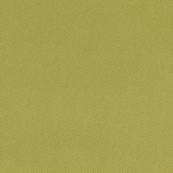 D1768 Spring by Charlotte Fabric Classic Velvet 100% Woven Polyester Asia Exceeds 200,000 Wyzenbeek Rubs (Heavy Duty) </p><p>Repeat: 54 Inches - Fabric Carolina -