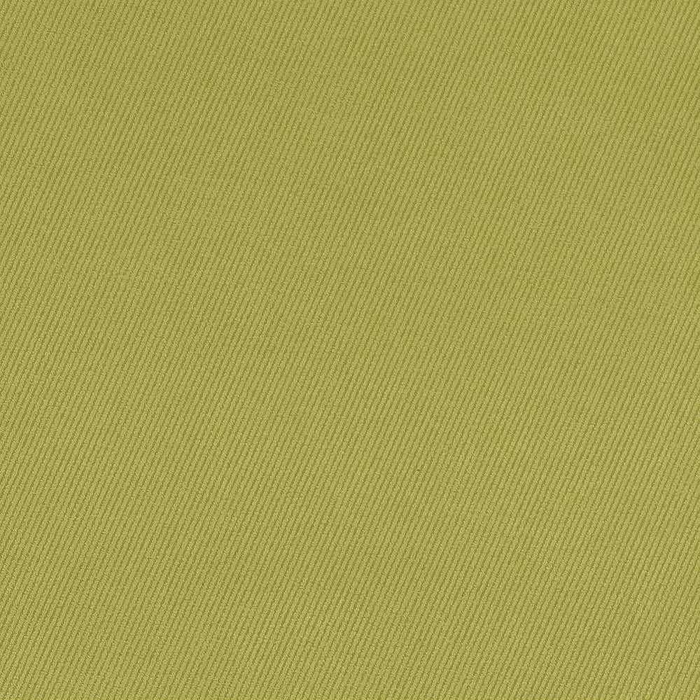 D1768 Spring by Charlotte Fabric Classic Velvet 100% Woven Polyester Asia Exceeds 200,000 Wyzenbeek Rubs (Heavy Duty) No Repeat 54 Inches - Fabric Carolina -