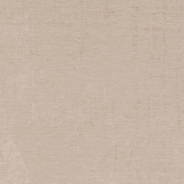 D1900 Moonstone by Charlotte Fabric Luxe Velvet 100% Woven Polyester India Exceeds 140,000 Wyzenbeek Rubs (Heavy Duty) </p><p>Repeat: No Repeat 54 Inches - Fabric Carolina -