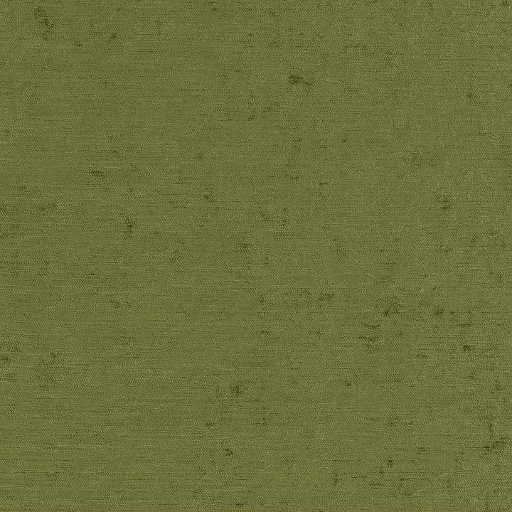 D1904 Caper by Charlotte Fabric Luxe Velvet 100% Woven Polyester India Exceeds 140,000 Wyzenbeek Rubs (Heavy Duty) </p><p>Repeat: No Repeat 54 Inches - Fabric Carolina -
