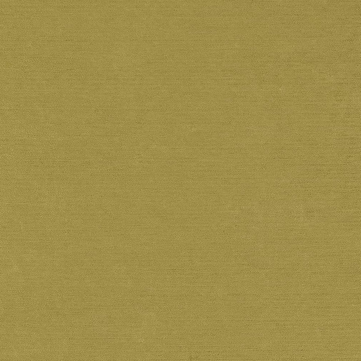 D1905 Pear by Charlotte Fabric Luxe Velvet 100% Woven Polyester India Exceeds 140,000 Wyzenbeek Rubs (Heavy Duty) </p><p>Repeat: 54 Inches - Fabric Carolina -