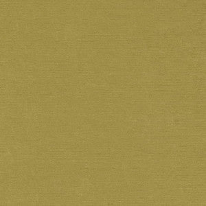 D1905 Pear by Charlotte Fabric