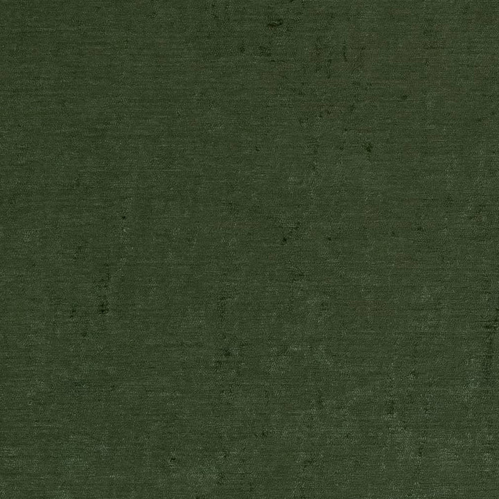 D1906 Juniper by Charlotte Fabric Luxe Velvet 100% Woven Polyester India Exceeds 140,000 Wyzenbeek Rubs (Heavy Duty) </p><p>Repeat: 54 Inches - Fabric Carolina -