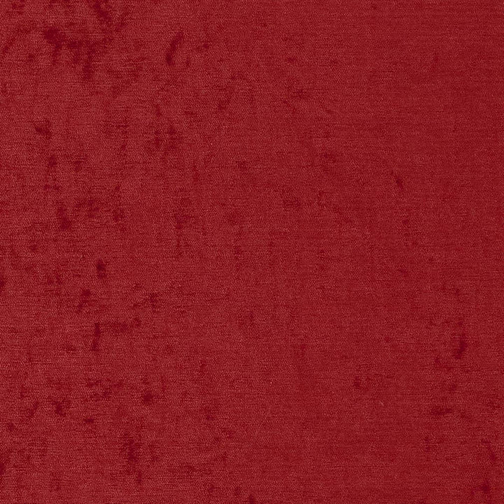 D1907 Ruby by Charlotte Designer Fabric Luxe Velvet 100% Woven Polyester India Exceeds 140,000 Wyzenbeek Rubs (Heavy Duty) </p><p>Repeat: 54 Inches - Swanky Fabrics -