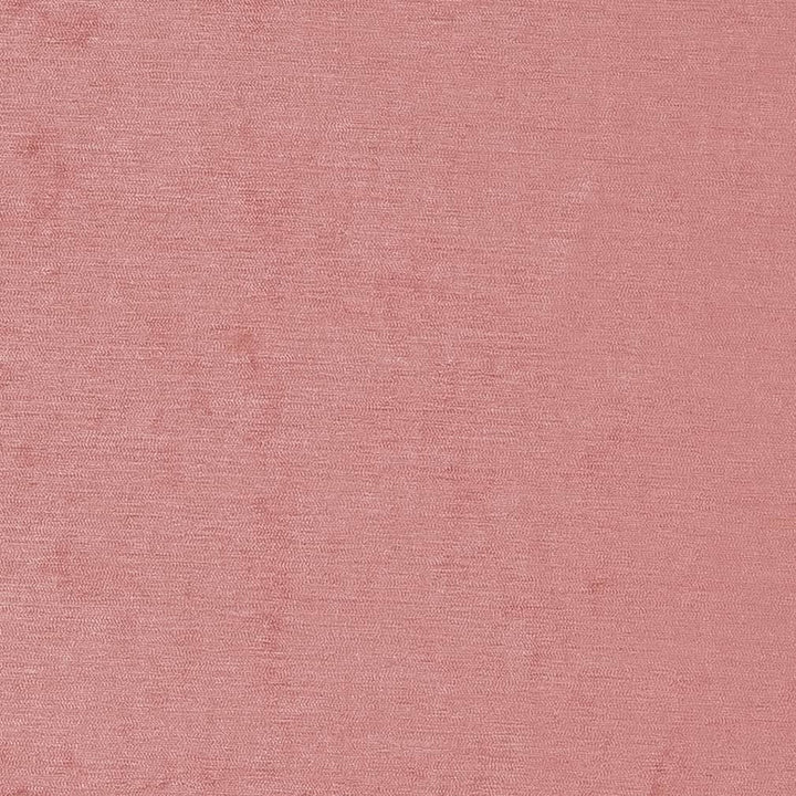 D1924 Rose by Charlotte Fabric Luxe Velvet 100% Woven Polyester India Exceeds 140,000 Wyzenbeek Rubs (Heavy Duty) </p><p>Repeat: No Repeat 54 Inches - Fabric Carolina -