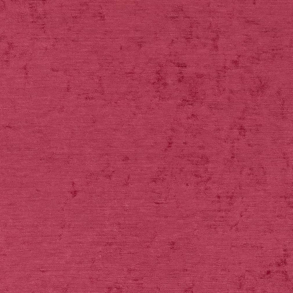 D1925 Fuchsia by Charlotte Designer Fabric Luxe Velvet 100% Woven Polyester India Exceeds 140,000 Wyzenbeek Rubs (Heavy Duty) </p><p>Repeat: 54 Inches - Swanky Fabrics -