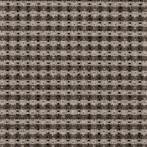 D1964 Onyx by Charlotte Fabric