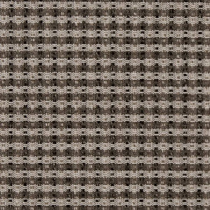 D1964 Onyx by Charlotte Fabric