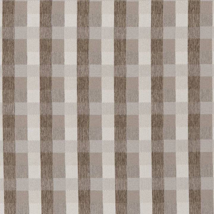 D1977 Dove by Charlotte Fabric Rustic Wovens 64% Woven Polypropylene, 36% Polyester Made In USA Exceeds 30,000 Wyzenbeek Rubs (Heavy Duty) </p><p>Repeat: Horizontal: 3.5" x Vertical: 3.5" 54 Inches - Fabric Carolina -