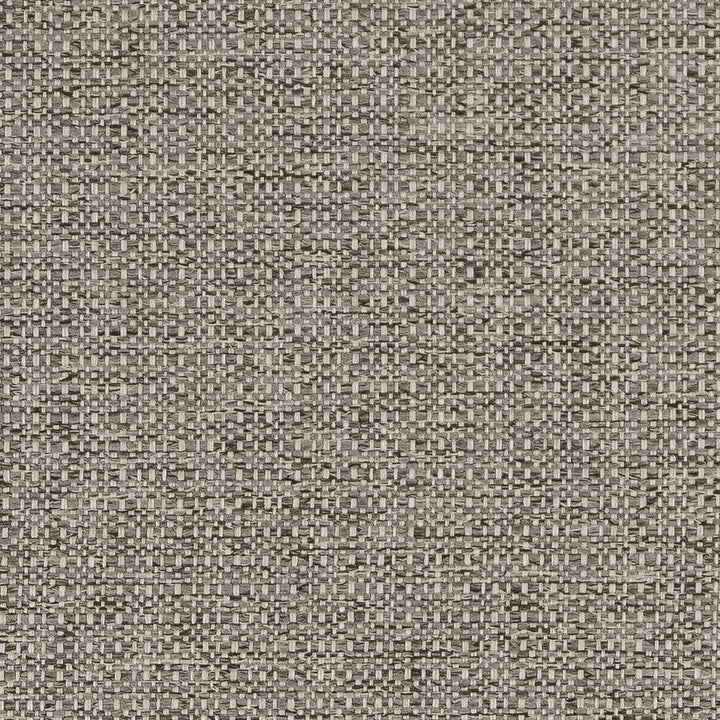D1979 Platinum by Charlotte Designer Fabric Rustic Wovens 100% Polypropylene Made In USA Exceeds 60,000 Wyzenbeek Rubs (Heavy Duty) </p><p>Repeat: 54 Inches - Swanky Fabrics -