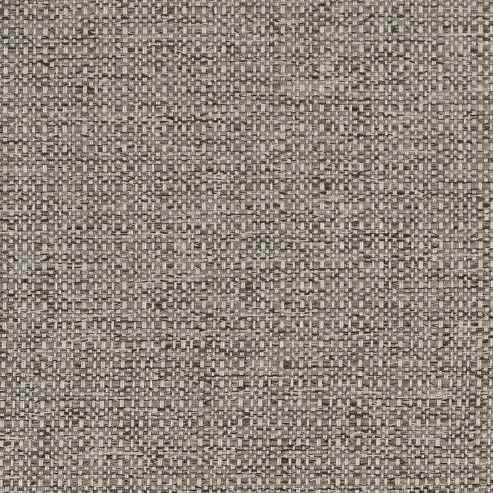 D1979 Platinum by Charlotte Fabric Rustic Wovens 100% Polypropylene Made In USA Exceeds 60,000 Wyzenbeek Rubs (Heavy Duty) </p><p>Repeat: 54 Inches - Fabric Carolina -