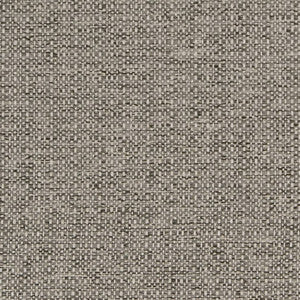 D1979 Platinum by Charlotte Fabric