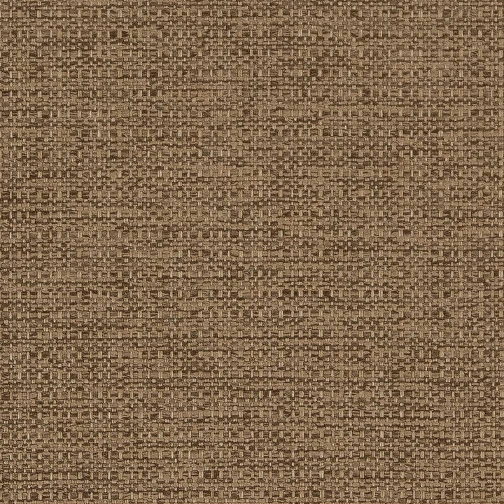 D1981 Sandalwood by Charlotte Designer Fabric Rustic Wovens 100% Polypropylene Made In USA Exceeds 60,000 Wyzenbeek Rubs (Heavy Duty) </p><p>Repeat: 54 Inches - Swanky Fabrics -