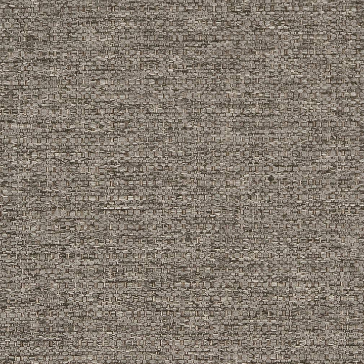 D1991 Mineral by Charlotte Designer Fabric Rustic Wovens 100% Polypropylene Made In USA Exceeds 60,000 Wyzenbeek Rubs (Heavy Duty) </p><p>Repeat: 54 Inches - Swanky Fabrics -