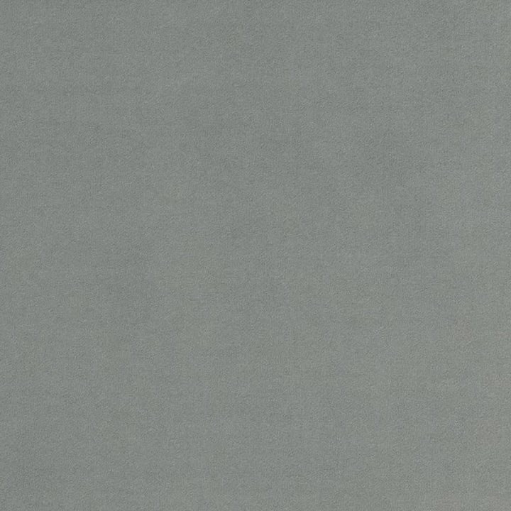 D2092 Flannel by Charlotte Fabric Microfiber IV 100% Woven Polyester Asia Exceeds 100,000 Wyzenbeek Rubs (Heavy Duty) </p><p>Repeat: No Repeat 54 Inches - Fabric Carolina -