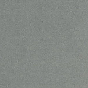 D2092 Flannel by Charlotte Fabric