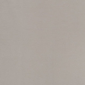 D2100 Silver by Charlotte Fabric