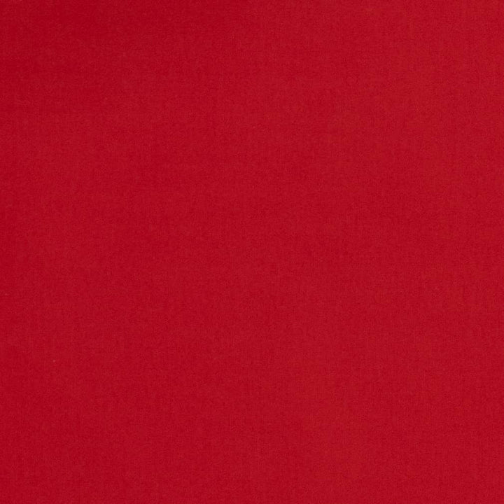 D2109 Lipstick by Charlotte Fabric Microfiber IV 100% Woven Polyester Asia Exceeds 100,000 Wyzenbeek Rubs (Heavy Duty) </p><p>Repeat: No Repeat 54 Inches - Fabric Carolina -