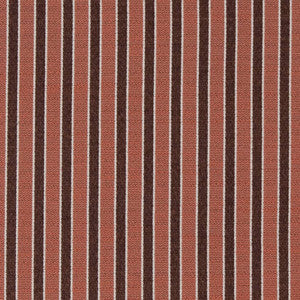 D2131 Salmon Stripe by Charlotte Fabric