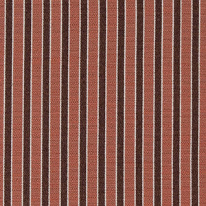 D2131 Salmon Stripe by Charlotte Fabric