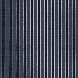 D2134 Wedgewood Stripe by Charlotte Fabric