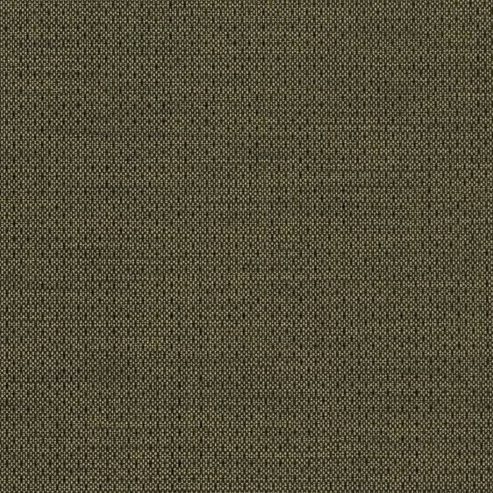 D2193 Basil by Charlotte Fabric Textured Plains II 100% Polyester Turkey Exceeds 100,000 Wyzenbeek Rubs (Heavy Duty) </p><p>Repeat: No Repeat 54 Inches - Fabric Carolina -