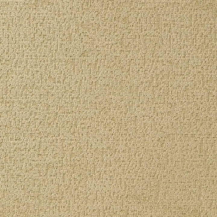 D2231 Celery by Charlotte Fabric Crypton Posh 100% Polyester Asia Exceeds 100,000 Wyzenbeek Rubs (Heavy Duty) </p><p>Repeat: No Repeat 54 Inches - Fabric Carolina -