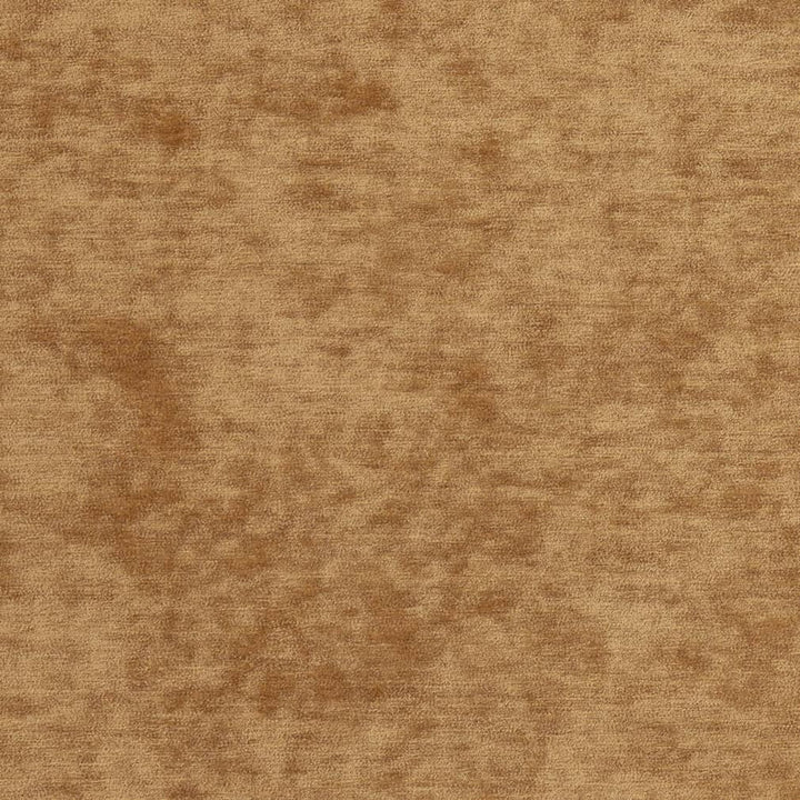 D2248 Camel by Charlotte Fabric Crypton Posh 100% Polyester Asia Exceeds 100,000 Wyzenbeek Rubs (Heavy Duty) </p><p>Repeat: No Repeat 54 Inches - Fabric Carolina -