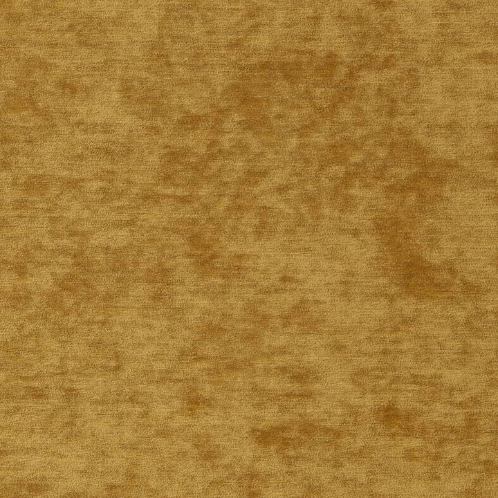 D2257 Golden by Charlotte Designer Fabric Crypton Posh 100% Polyester Asia Exceeds 100,000 Wyzenbeek Rubs (Heavy Duty) </p><p>Repeat: 54 Inches - Swanky Fabrics -