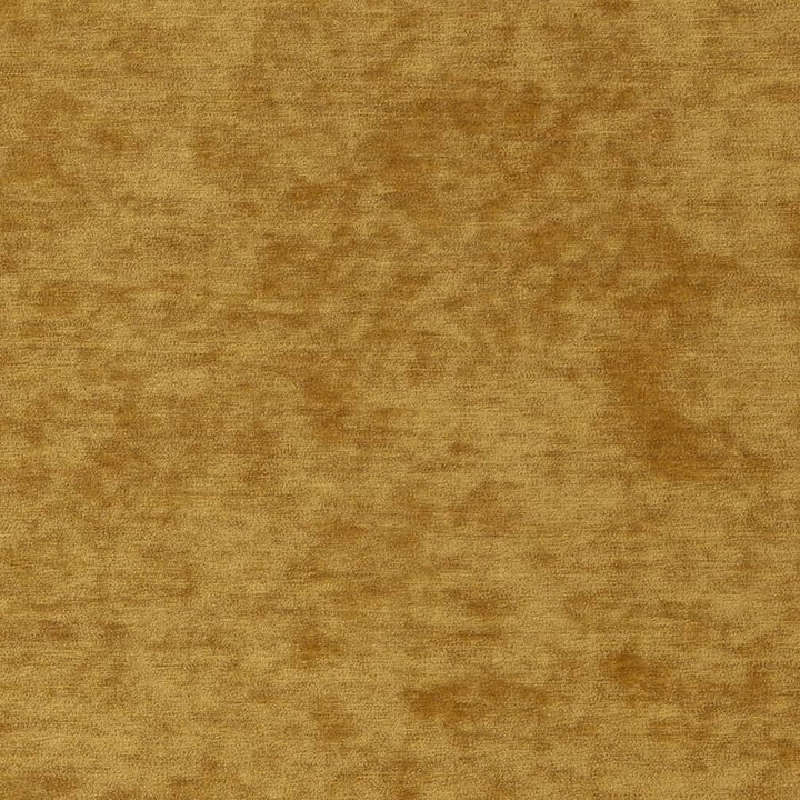 D2257 Golden by Charlotte Fabric Crypton Posh 100% Polyester Asia Exceeds 100,000 Wyzenbeek Rubs (Heavy Duty) </p><p>Repeat: 54 Inches - Fabric Carolina -