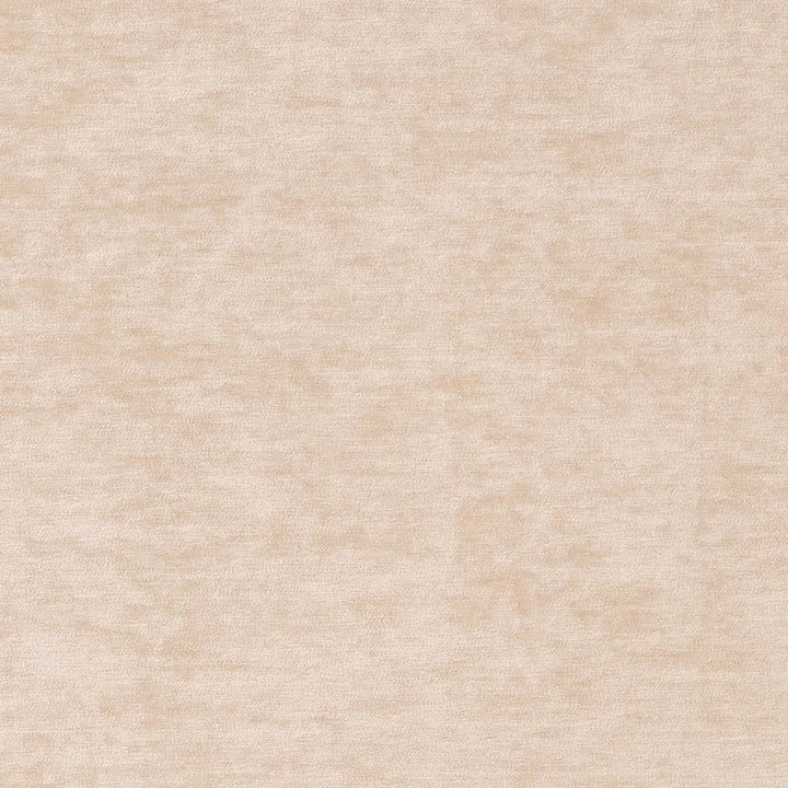 D2263 Bone by Charlotte Fabric Crypton Posh 100% Polyester Asia Exceeds 100,000 Wyzenbeek Rubs (Heavy Duty) </p><p>Repeat: No Repeat 54 Inches - Fabric Carolina -