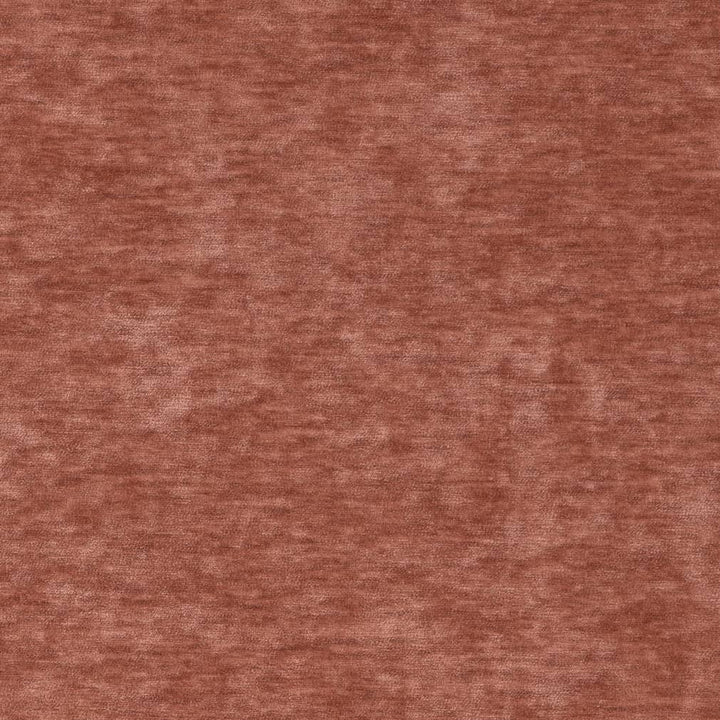 D2266 Blush by Charlotte Fabric Crypton Posh 100% Polyester Asia Exceeds 100,000 Wyzenbeek Rubs (Heavy Duty) </p><p>Repeat: No Repeat 54 Inches - Fabric Carolina -