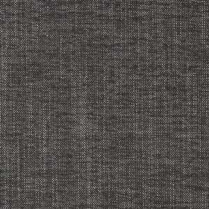 D2270 Charcoal by Charlotte Fabric