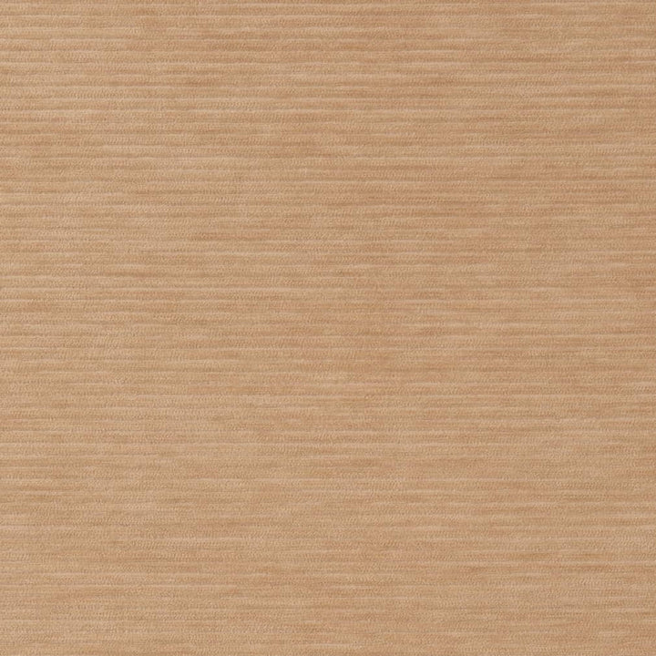 D2288 Cashew by Charlotte Fabric Crypton Coastal 100% Polyester Asia Exceeds 100,000 Wyzenbeek Rubs (Heavy Duty) </p><p>Repeat: 54 Inches - Fabric Carolina -