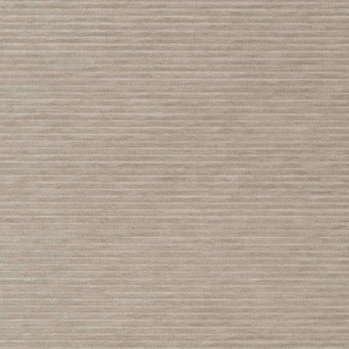D2289 Cement by Charlotte Fabric Crypton Coastal 100% Polyester Asia Exceeds 100,000 Wyzenbeek Rubs (Heavy Duty) </p><p>Repeat: 54 Inches - Fabric Carolina -