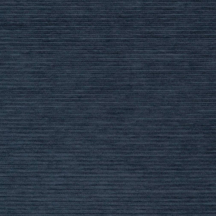 D2291 Navy by Charlotte Fabric Crypton Coastal 100% Polyester Asia Exceeds 100,000 Wyzenbeek Rubs (Heavy Duty) </p><p>Repeat: No Repeat 54 Inches - Fabric Carolina -