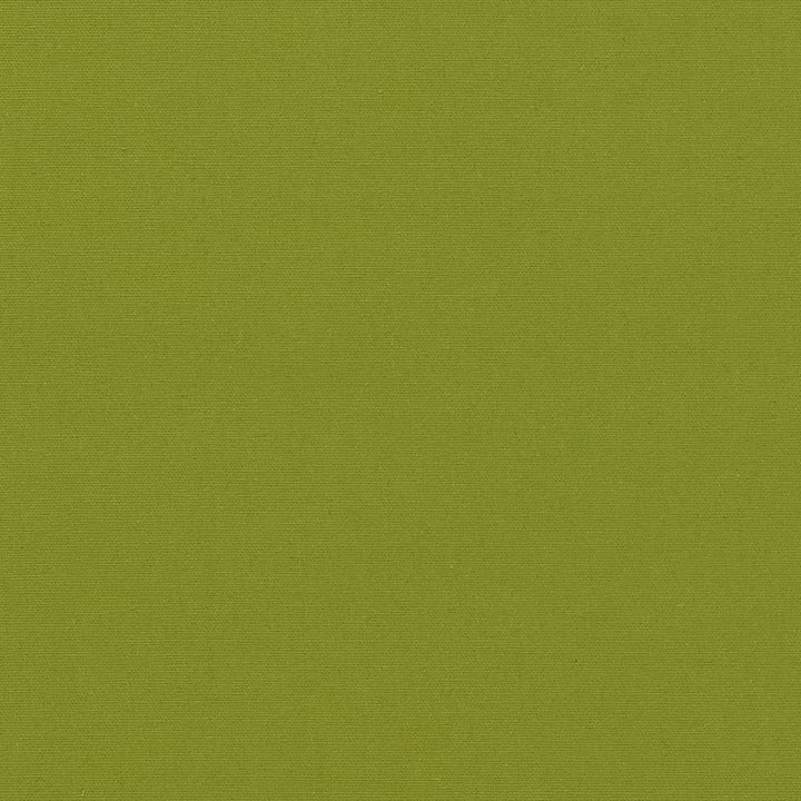 D2335 Lime by Charlotte Fabric Classic Coordinates 100% Cotton Made in USA Exceeds 60,000 Wyzenbeek Rubs (Heavy Duty) </p><p>Repeat: 54 Inches - Fabric Carolina -