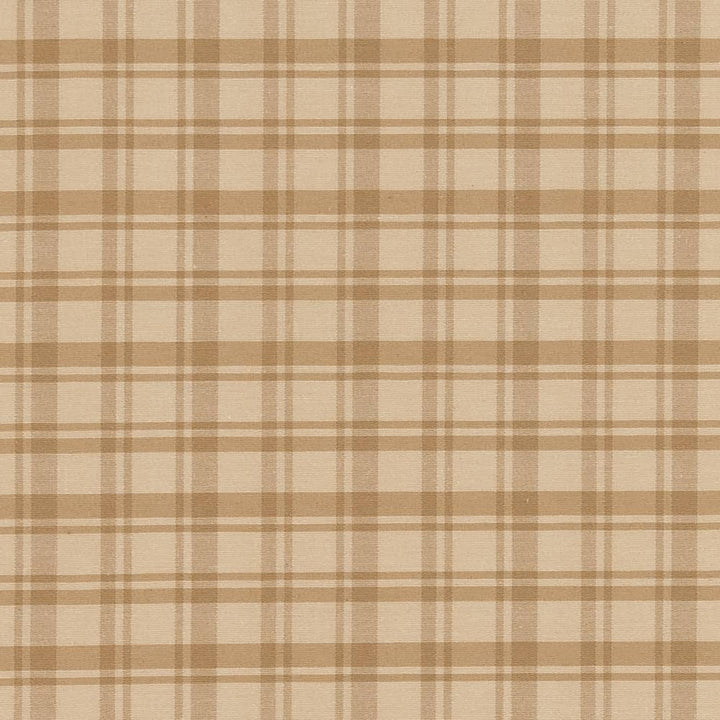 D2387 Khaki by Charlotte Fabric Classic Coordinates 40% Polyester, 30% Acrylic, 30% Cotton Spain Exceeds 30,000 Wyzenbeek Rubs (Heavy Duty) </p><p>Repeat: Horizontal 2.5" x Vertical 2.5" 54 Inches - Fabric Carolina -