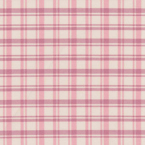 D2389 Watermelon by Charlotte Fabric