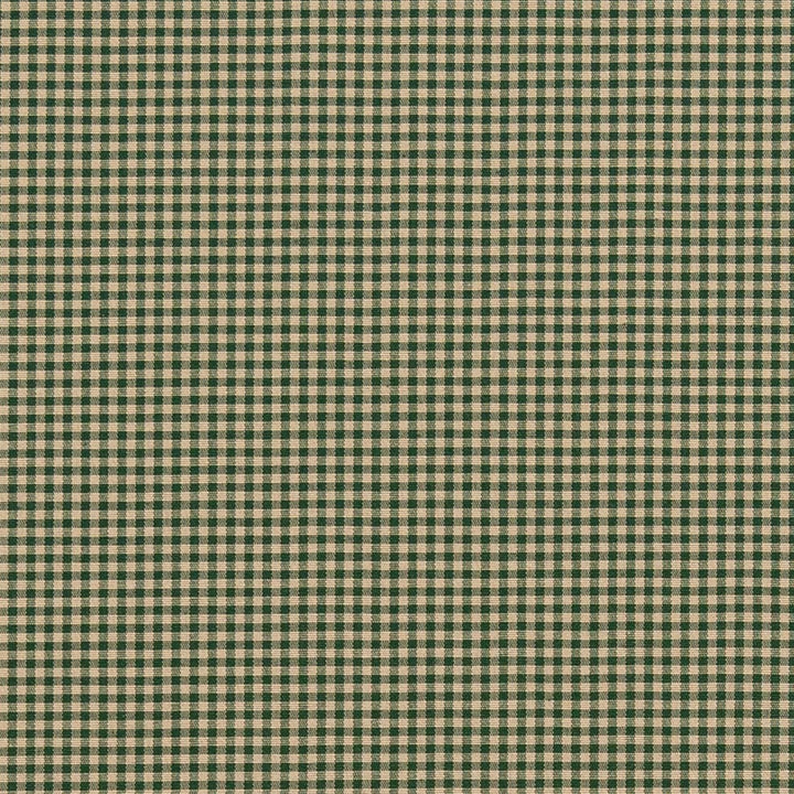 D2398 Forest by Charlotte Fabric Classic Coordinates 40% Polyester, 30% Acrylic, 30% Cotton Spain Exceeds 30,000 Wyzenbeek Rubs (Heavy Duty) </p><p>Repeat: No Repeat 54 Inches - Fabric Carolina -