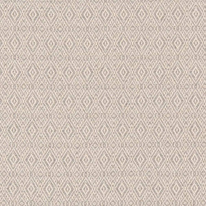 D2409 Aluminum by Charlotte Fabric