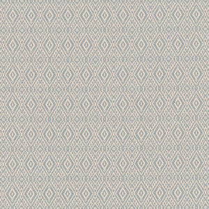 D2414 Rain by Charlotte Fabric