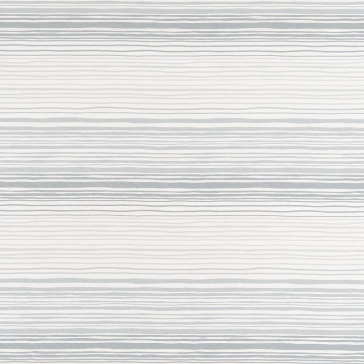 D2484 Haze by Charlotte Fabric Patio Prints 100% Polyester Made in USA Exceeds 60,000 Wyzenbeek Rubs (Heavy Duty) </p><p>Repeat: Vertical 13" 54 Inches - Fabric Carolina -