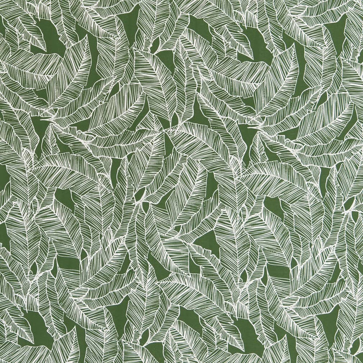 D2485 Jungle by Charlotte Fabric Patio Prints 100% Polyester Made in USA Exceeds 60,000 Wyzenbeek Rubs (Heavy Duty) </p><p>Repeat: Horizontal 18" x Vertical 25" 54 Inches - Fabric Carolina -