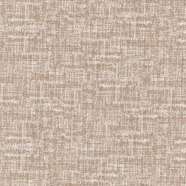 D2487 Acorn by Charlotte Fabric Patio Prints 100% Polyester Made in USA Exceeds 60,000 Wyzenbeek Rubs (Heavy Duty) </p><p>Repeat: 54 Inches - Fabric Carolina -